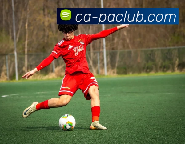 PA体育模拟器发展历程